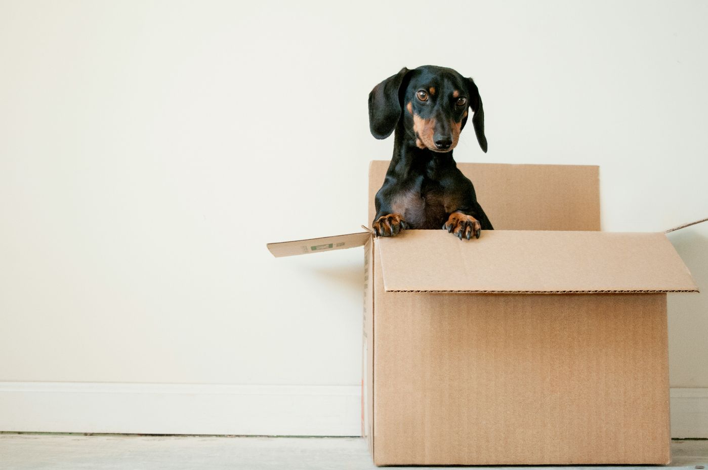 Move-Out Cleaning Services in Michigan by Spotless Cleaning MI